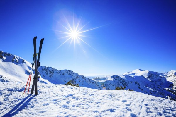 Горные лыжи