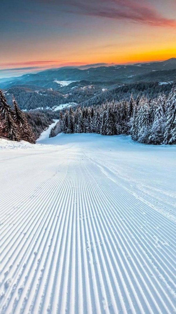 Горные лыжи