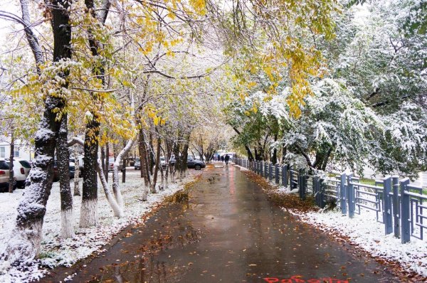 Поздняя осень