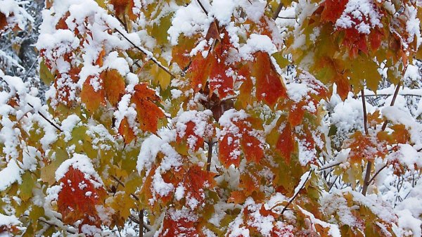 Поздняя осень