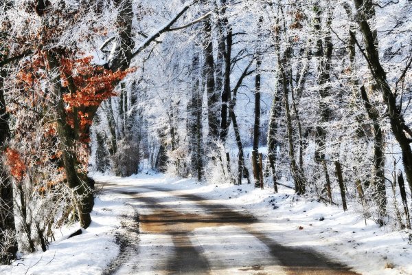 Поздняя осень