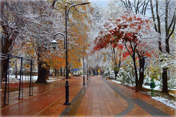 Поздняя осень