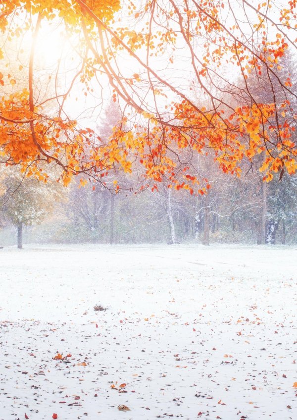 Поздняя осень