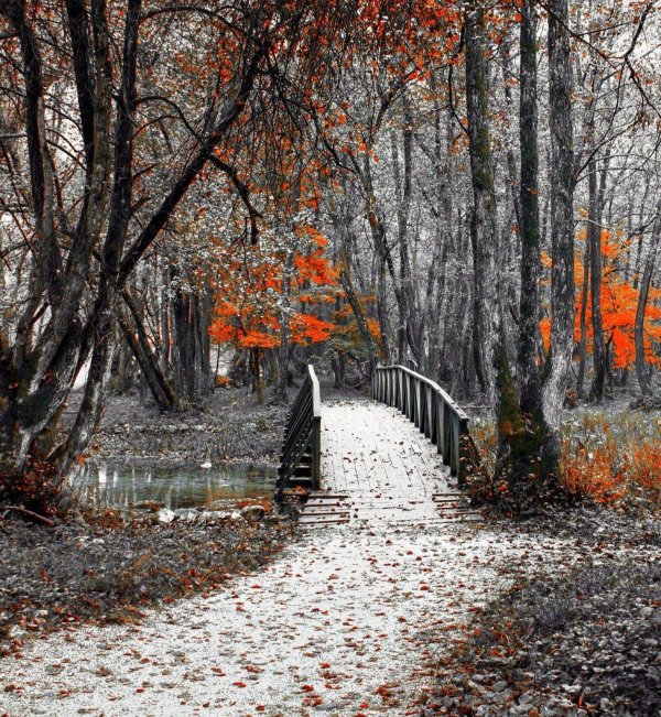 Поздняя осень