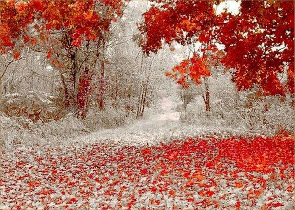 Поздняя осень