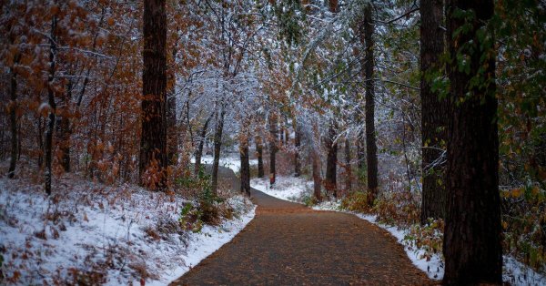 Поздняя осень