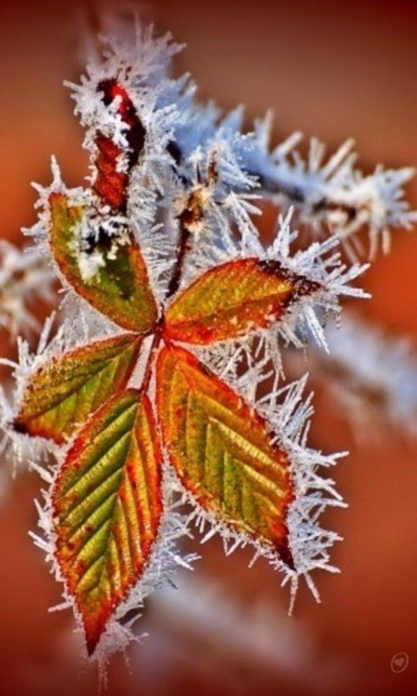 Поздняя осень