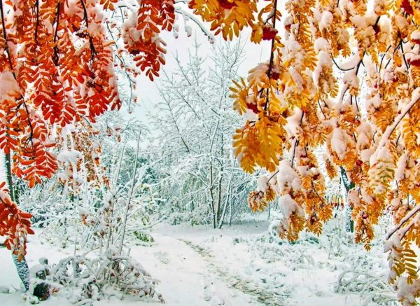 Поздняя осень