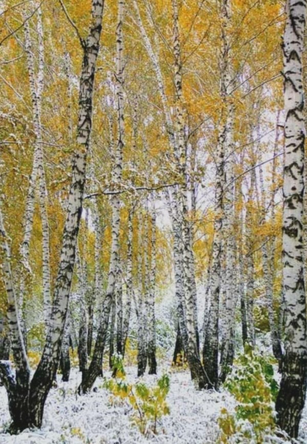 Поздняя осень