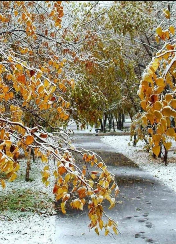 Поздняя осень