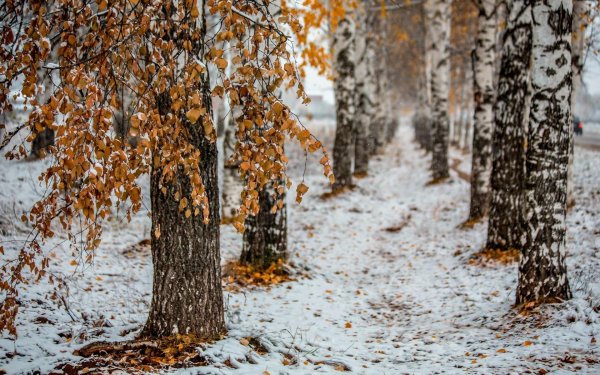 Поздняя осень