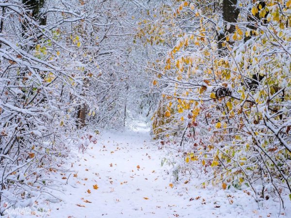 Поздняя осень
