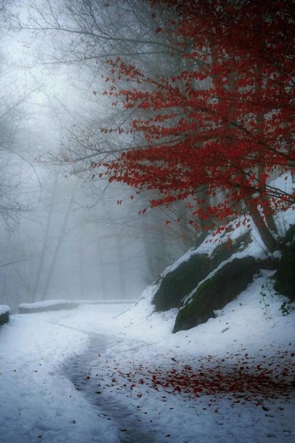 Поздняя осень