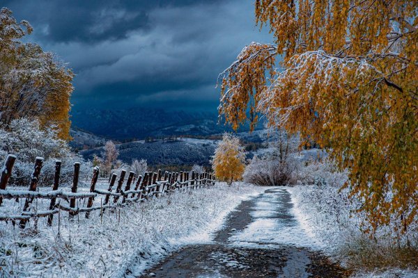 Поздняя осень