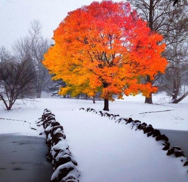 Поздняя осень