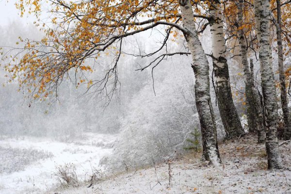 Поздняя осень