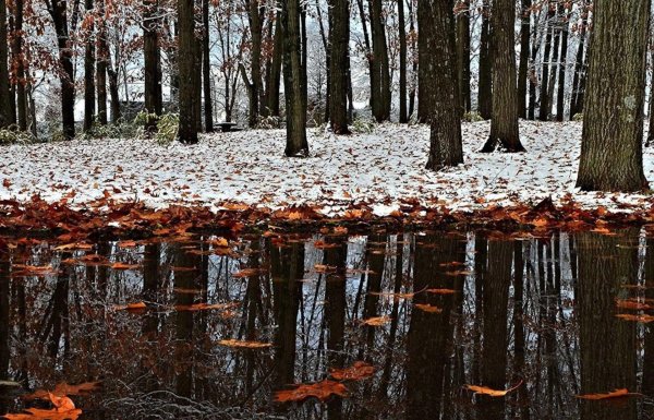 Поздняя осень