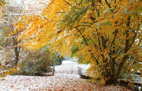 Поздняя осень