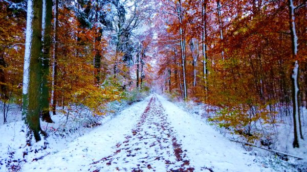 Поздняя осень