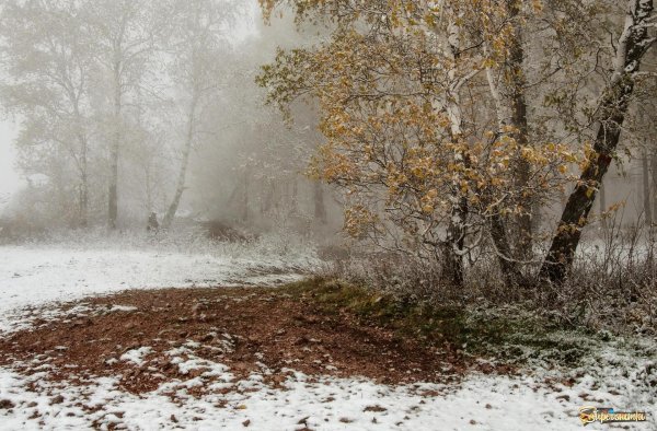 Поздняя осень