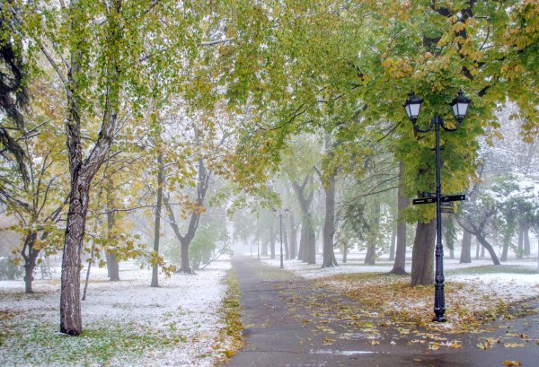 Поздняя осень