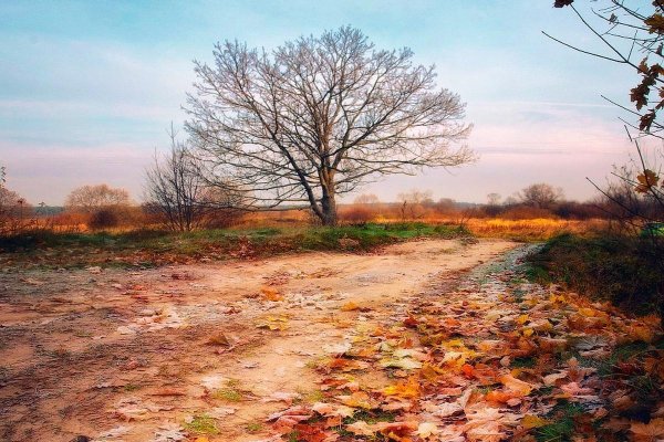 Поздняя осень