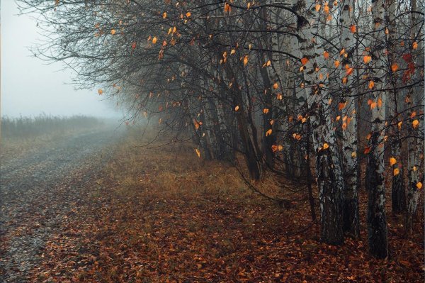 Поздняя осень