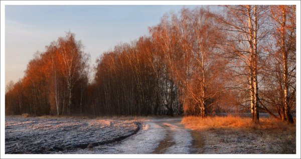Поздняя осень