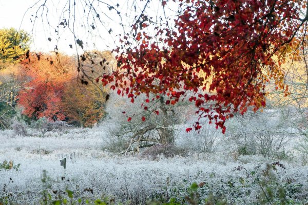 Поздняя осень