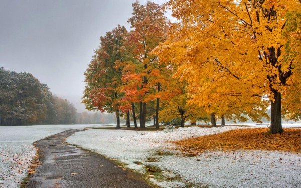 Поздняя осень