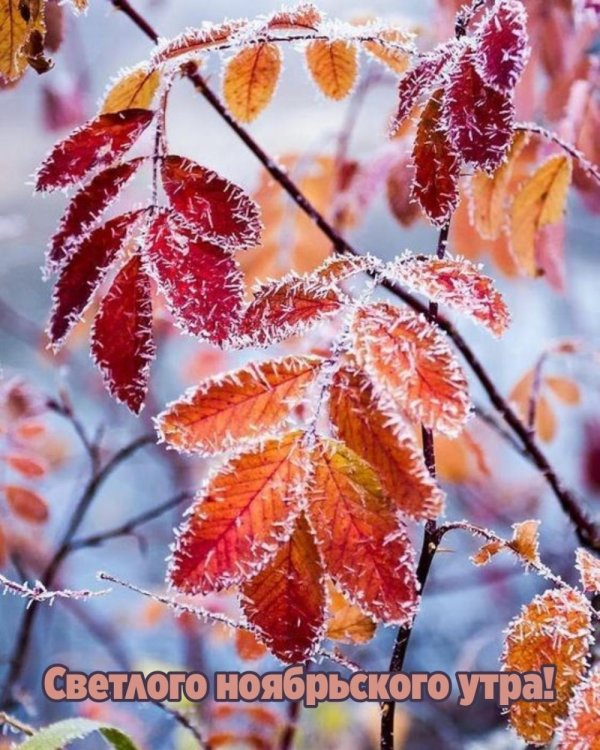 Поздняя осень