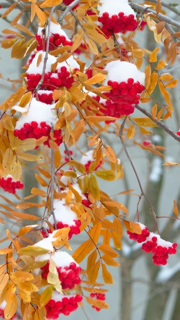 Поздняя осень