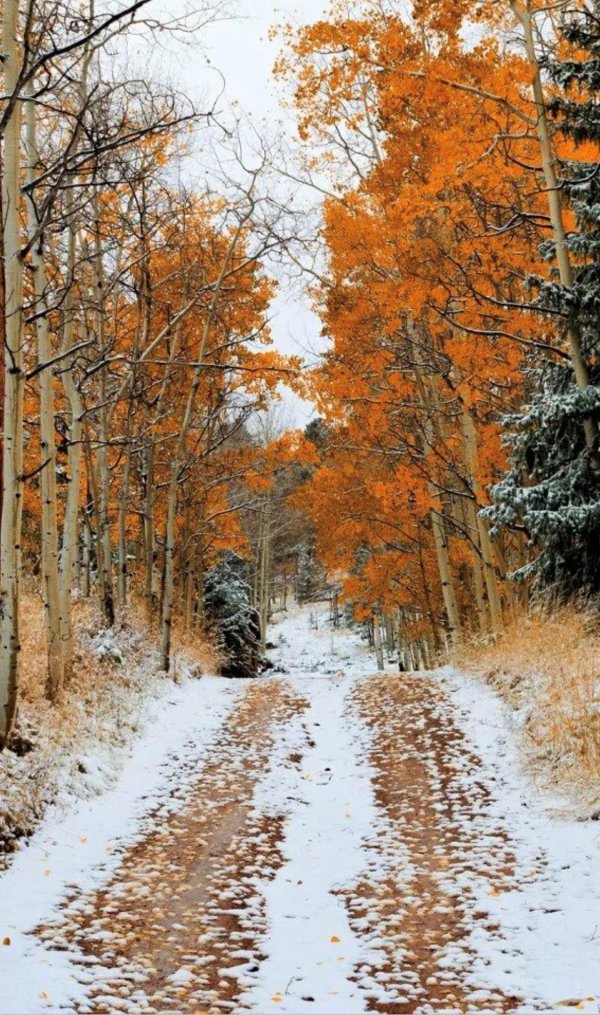 Поздняя осень