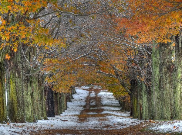 Поздняя осень