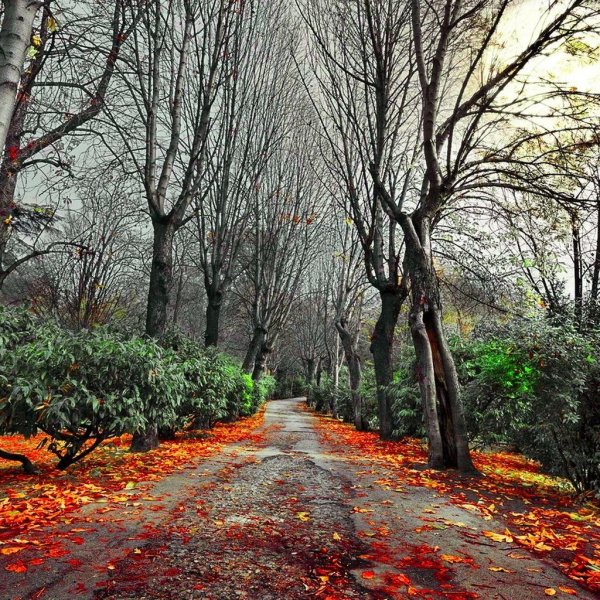 Поздняя осень