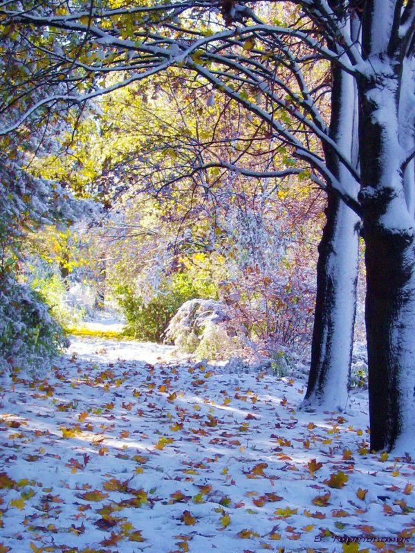 Поздняя осень