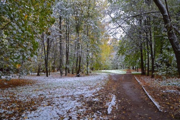 Поздняя осень