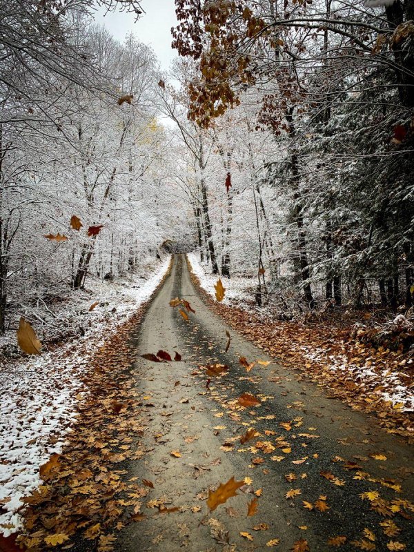 Поздняя осень