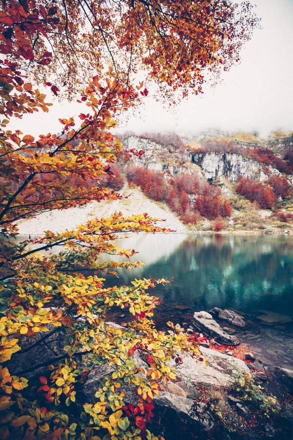 Поздняя осень