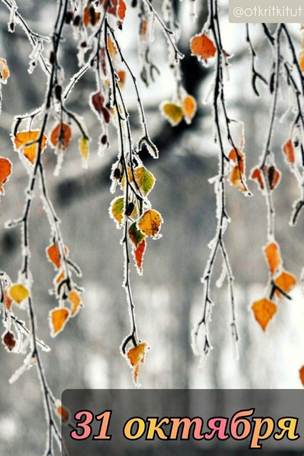 Поздняя осень