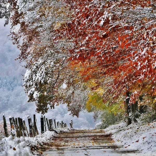 Поздняя осень