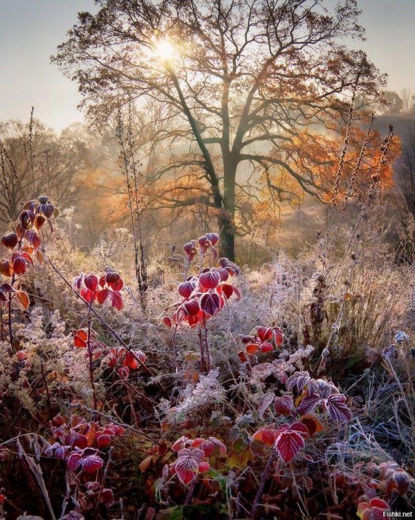 Поздняя осень