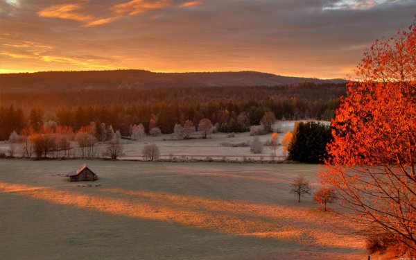 Поздняя осень