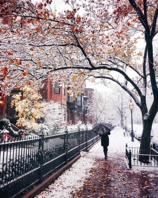 Поздняя осень