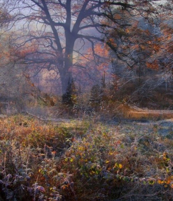 Поздняя осень