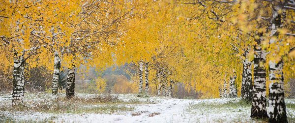 Поздняя осень