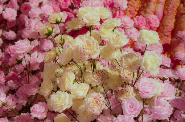 цветочные фоны