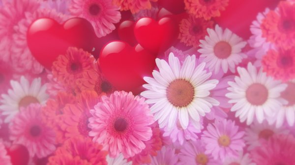 цветочные фоны