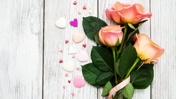 цветок сердце