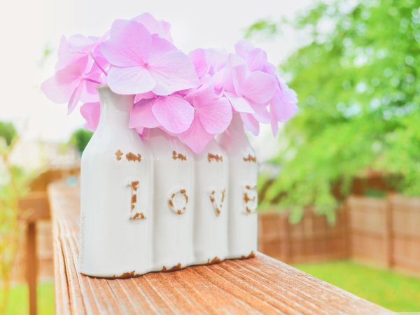 декор банки